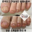 레푸스 평택점 이미지