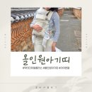 올인원 아기띠 힙시트 추천 3개월 찐 사용후기 닥터다이얼플러스 허리편한 제품