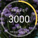 7번가커피