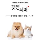펫팸몰