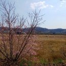 어슬렁대추정원 이미지