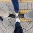 한남뉴타운 3구역 4구역 임장기 - 여니조아 임장후기