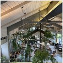 더진현풀빌라 | 경주 더진현풀빌라에서 여름휴가를 보내고 왔어요^^