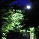 뷔페다미 이미지