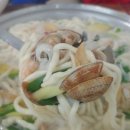 마리856 이미지