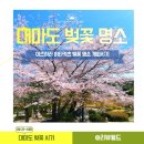 부산지방기상청 | 부산 대마도 배타고 일본 여행 배편 2026 벚꽃 시기 명소 배 매진 전 예약
