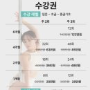 다음사람 | 오하운 폴댄스 3개월 후기｜유연성 근력 없는 사람 후기