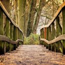 하단2동-3 이미지