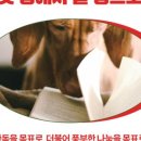 끝 장 이미지