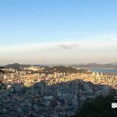 요티인 목포 이미지