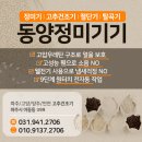연천정미기