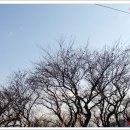 용정탕 이미지