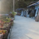 화태바다 이미지