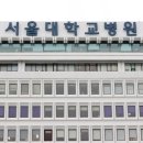 서울대학교 이미지