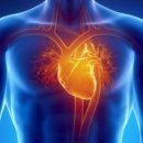 심장(心臟)과 혈압(血壓) 이미지