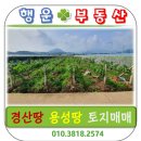 경산행운공인중개사사무소 이미지