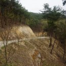 꼬부랑길 이미지