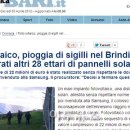 삼성태양광발전소 이미지