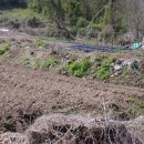 사기소리 이미지