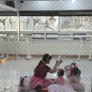 포지션발레아카데미학원 이미지