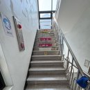 봉황중심상가 화장실 | 대전 마치광장 상가 목원대 건양대병원 근처 상가청소 | 정기청소 화장실청소 계단청소