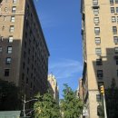 페리아 치킨 | [NYC] DAY4 메트로폴리탄 도슨트 투어 • 브라이언트 파크 • 해리포터와 브로드웨이 연극 • 뉴욕 공립...