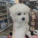 펫파크 동백점 이미지