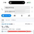 부림인삼