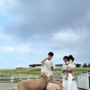 서하목장 이미지