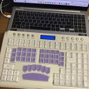 한국속기 | A.I 기술이 이렇게 발달했는데 이제와서 '속기'에 도전한다고?