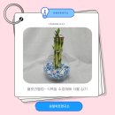 그림책 원예 활동 | 플로리텔링 : 식목일 그림책 원예 활동 - 네 기분은 어떤 색깔이니?
