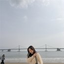 문화마을 | 부산 여행 2일차 광안리, 초량 밀면, 흰여울문화마을 후기