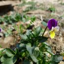 우리켄넬 이미지