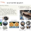 인산가리액비 발효 및 그 중요성 이미지