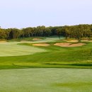 블랙스톤제주CC(대중형 18홀) 이미지