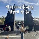 발리 여행 타나롯사원 방문후기 🌊 밀물때 가도 괜찮을까?