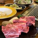 백석4-1 | 일산 회식장소 소말뚝 생갈비 백석 맛집 후기