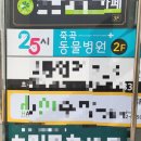 25시 죽곡동물병원 | 먼치킨킬트 &#39;람보&#39; 중성화 : 25시죽곡동물병원👍