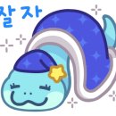 와우펫앤쥬 부산점 이미지