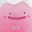 희희 - 보성군 현충로 113 | 희희