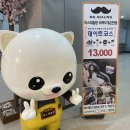 도개커피숍