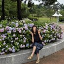 급성 림프구성 백혈병 보호자 일기 - 5주차, 회사복귀