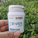 간식처럼 즐겨찾는 GLP-1유산균 큐시락토 후기