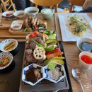 펫도래미