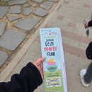 부모님이랑 다녀온 문경 찻사발축제 후기(+오늘과 어제의 일기!)