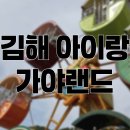 동승농장 | 김해 아이랑 가볼만한 곳 ‘ 가야랜드 ’ [ 놀이기구 정보 많음 ! ]