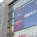 [서울 중구] MEMPHIS 멤피스 후기!