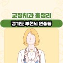 경기도 부천시 원종동 교정치과 총정리