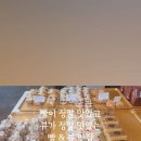 더마레 104