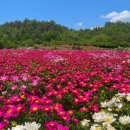 관성목장 이미지